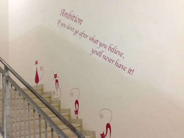 מדבקות קיר מעוצבות עבור המרכז האקדמי פרס