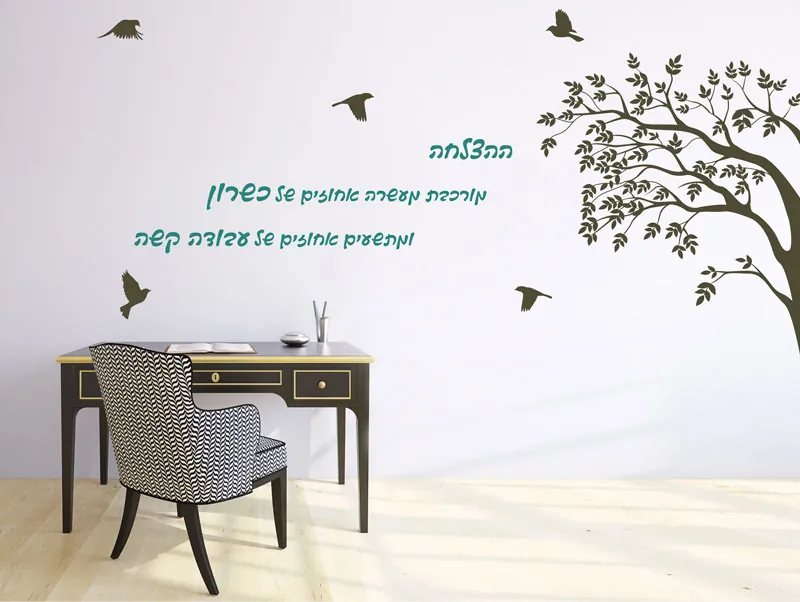 מיתוג בתי ספר וגנים