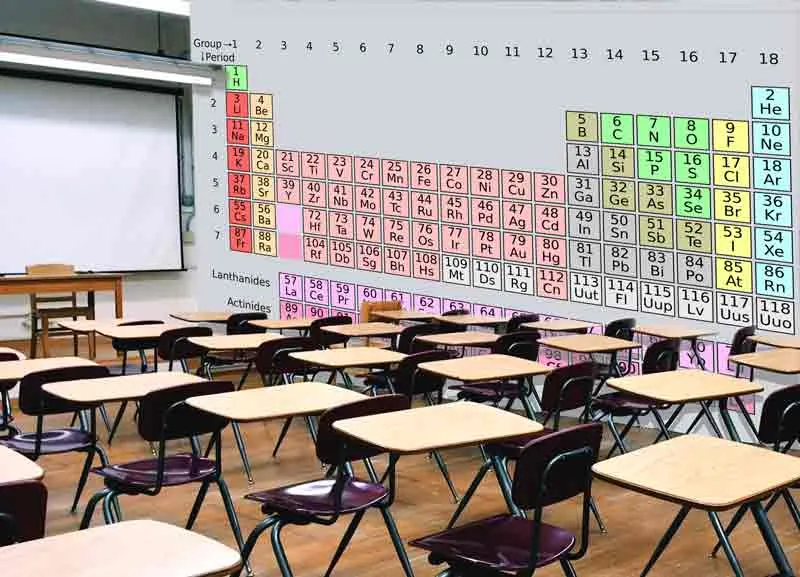 מיתוג בתי ספר וגנים