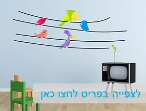 מדבקות קיר וטפטים לבתי ספר