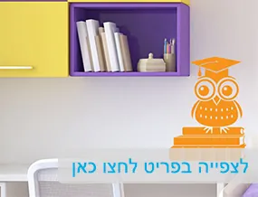 מדבקות קיר וטפטים לבתי ספר