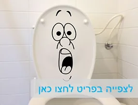 מדבקות קיר וטפטים לבתי ספר
