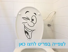 מדבקות קיר וטפטים לבתי ספר