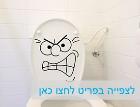מדבקות קיר וטפטים לבתי ספר