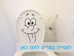 מדבקות קיר וטפטים לבתי ספר
