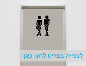 מדבקות קיר וטפטים לבתי ספר