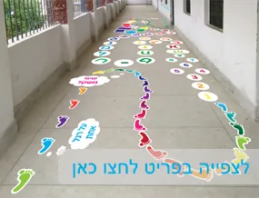 מדבקות קיר וטפטים לבתי ספר