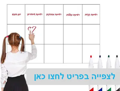 מדבקות קיר וטפטים לבתי ספר