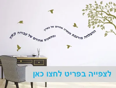מדבקות קיר וטפטים לבתי ספר