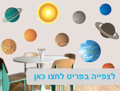 מדבקות קיר וטפטים לבתי ספר