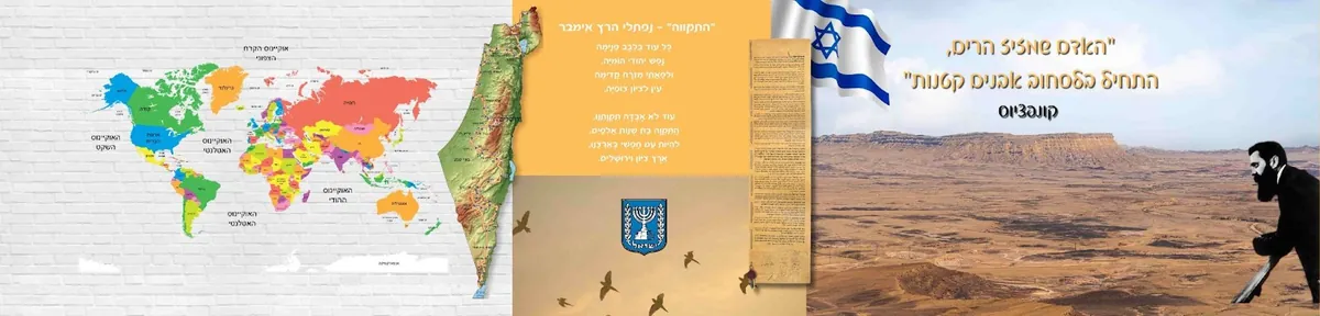 עיצוב בתי ספר , תיכונים וגני ילדים 2025