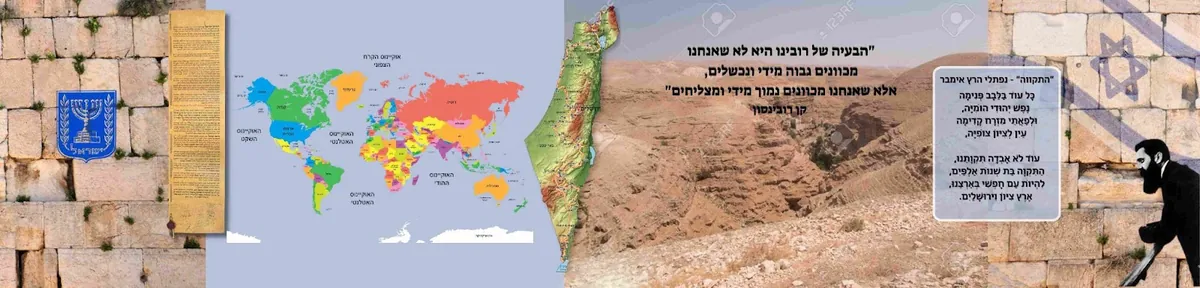 עיצוב בתי ספר , תיכונים וגני ילדים 2025