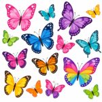 פרפרים צבעוניים בעיצוב משתלב ועדין, במגוון גוונים מרגיעים על רקע לבן.