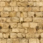 דוגמת קיר לבנים בגווני בז' וחום בהיר, אבנים במרקם טבעי ולא סדיר.