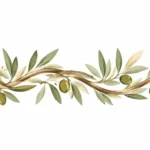 מדבקת ענף זית מעוצב עם עלים וענבות ירוקות, בצבעים של ירוק וחום.