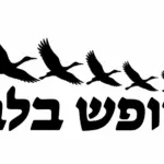 מדבקת רכב עם כיתוב 'חופש בלב' וצלליות חמש ציפורים בשחור