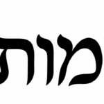 טקסט שחור עם כוכב קטן מעל על רקע לבן, עיצוב פשוט ומודגש.